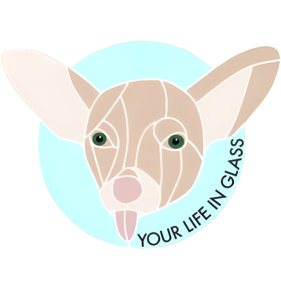 Your Life In Glass